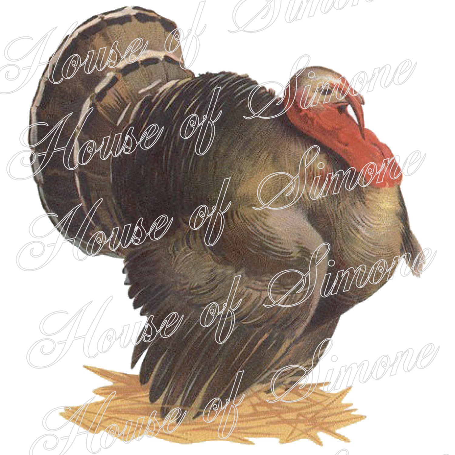 Turkey Thanksgiving Rustic Antique Vintage Download Graphic Image Art ...