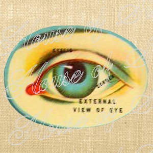 May include: An illustration of an eye, labeled "EXTERNAL VIEW OF EYE." The eye is depicted in shades of green, yellow, and red, set against a light blue oval. The image has a vintage aesthetic.