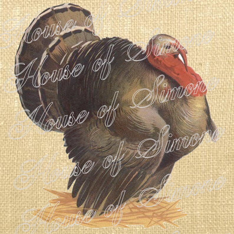 Turkey Thanksgiving Rustic Antique Vintage Download Graphic Image Art ...