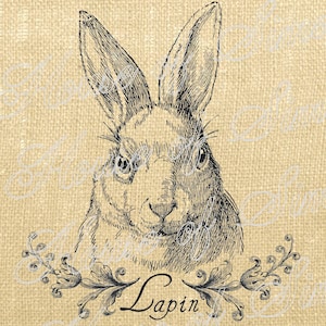 Lapin lièvre Animal Antique Vintage Télécharger Graphic Art transfert des images jute tote torchons oreiller français Gift Tag numérique feuille 1079