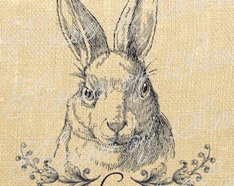 Rabbit Hare Animal Antique Vintage Download Graphic Image Art Transfer burlap tote tea towels Pillow French Gift Tag Digital Sheet 1079