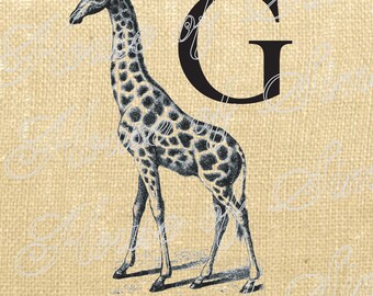 Giraffe Safari Animal Antique Vintage Download Graphic Image Art Transfer burlap tote tea towels Pillow French Gift Tag Digital Sheet 1078