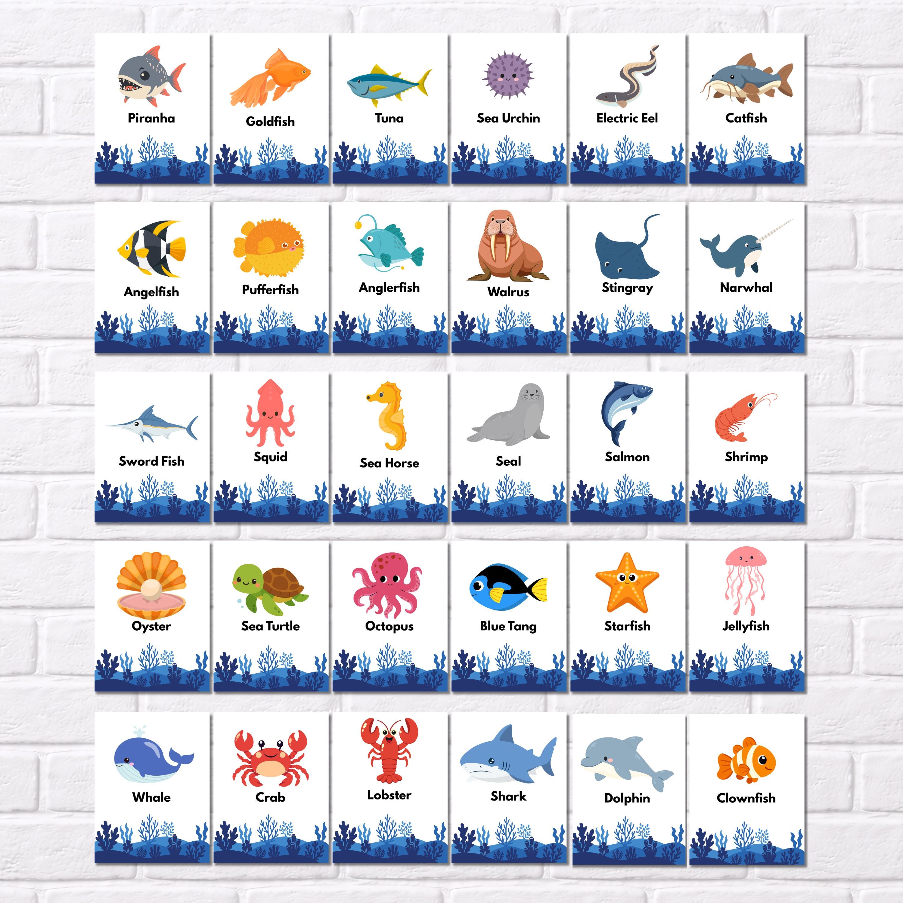 30 Sea Animals Flashcards for Kids – Ocean Montessori Cards, Printable ...