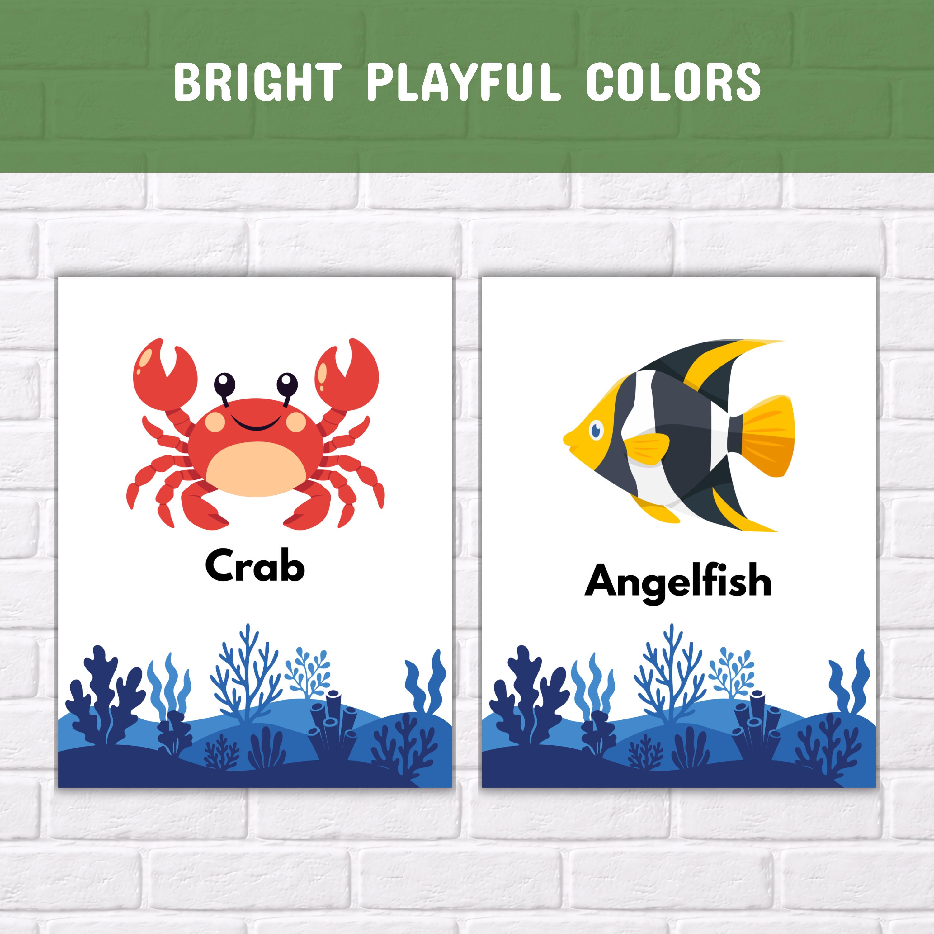 30 Sea Animals Flashcards for Kids – Ocean Montessori Cards, Printable ...