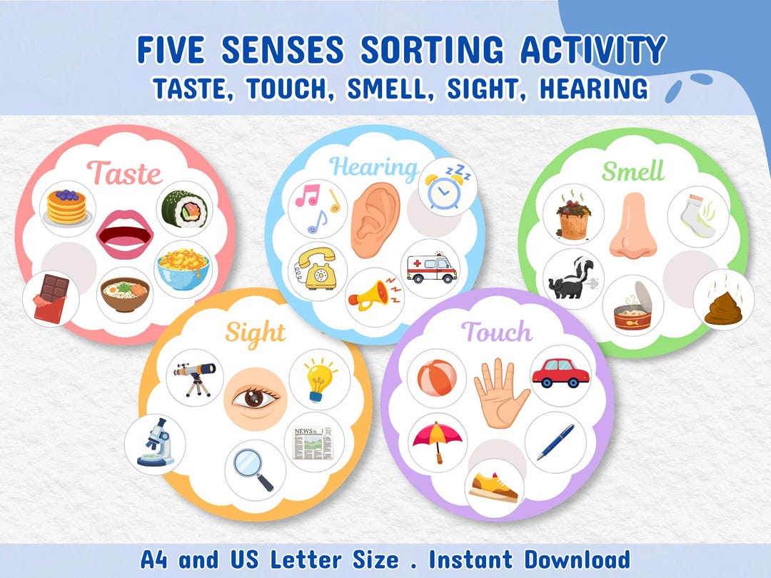 Five Senses Sorting Activity for Kids, Human Body Parts Worksheet ...