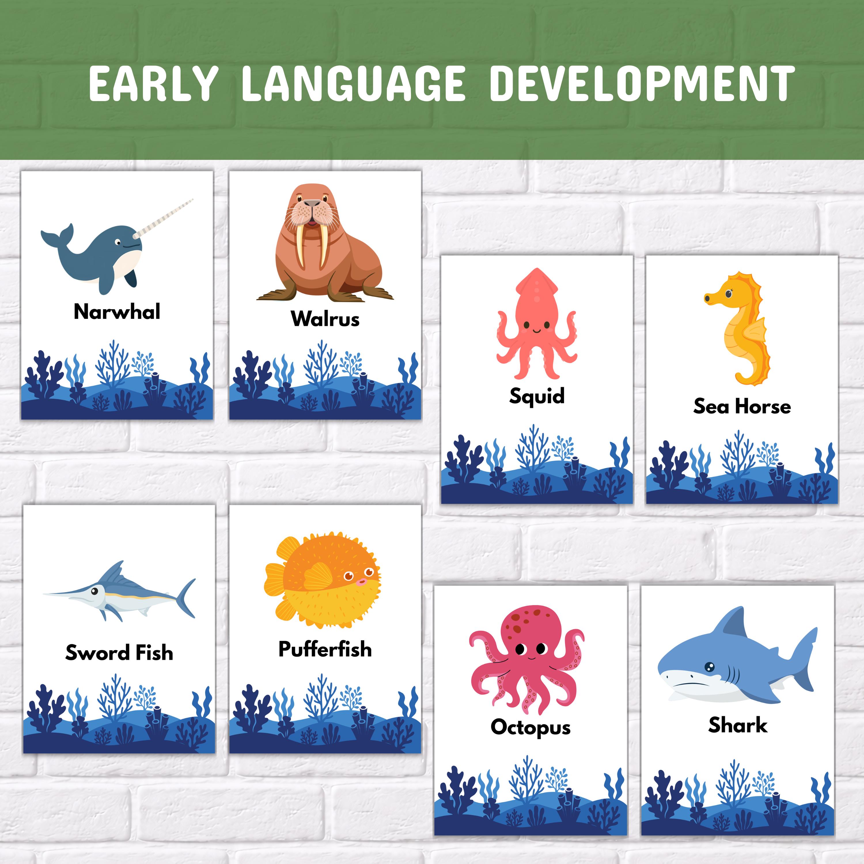 30 Sea Animals Flashcards for Kids – Ocean Montessori Cards, Printable ...