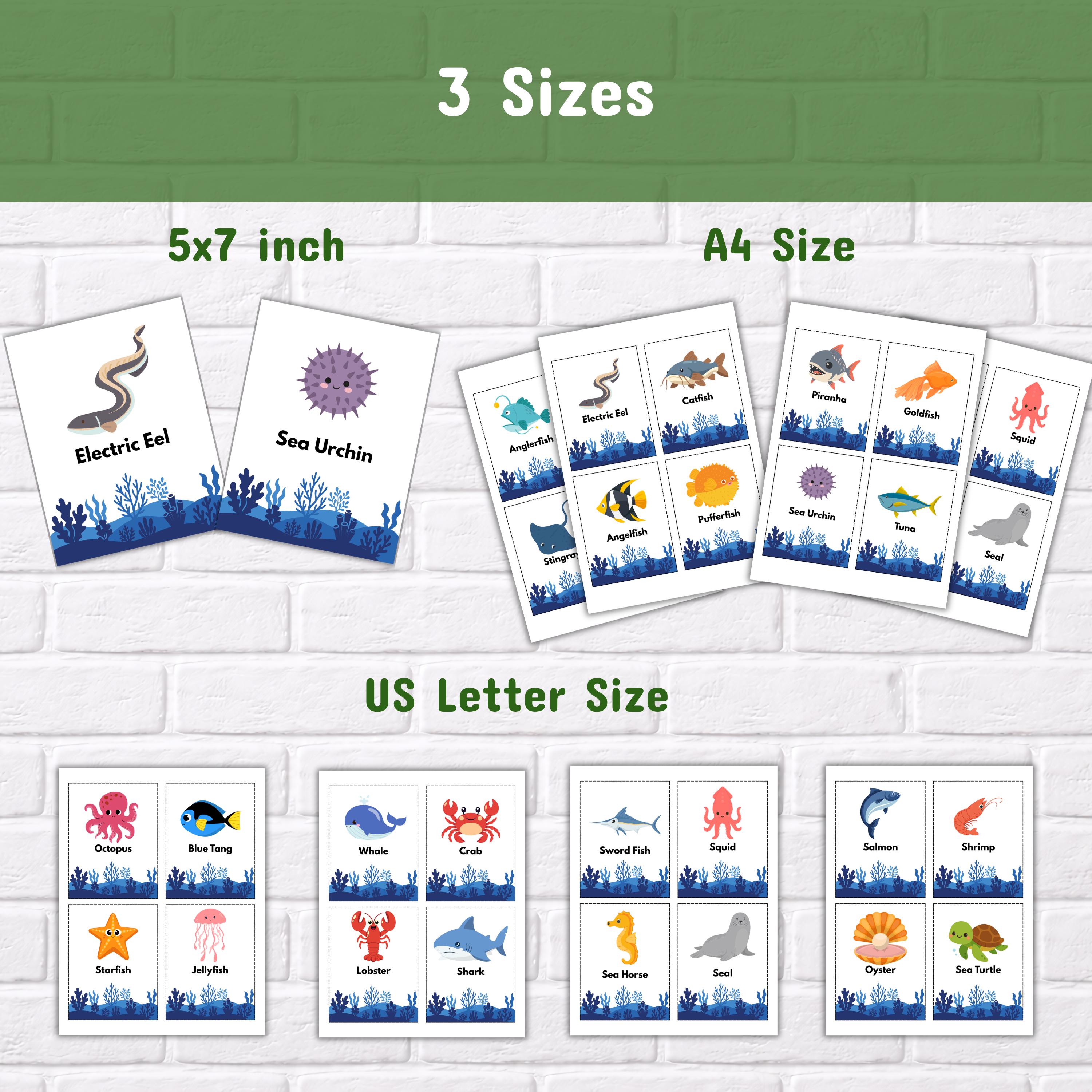 30 Sea Animals Flashcards for Kids – Ocean Montessori Cards, Printable ...