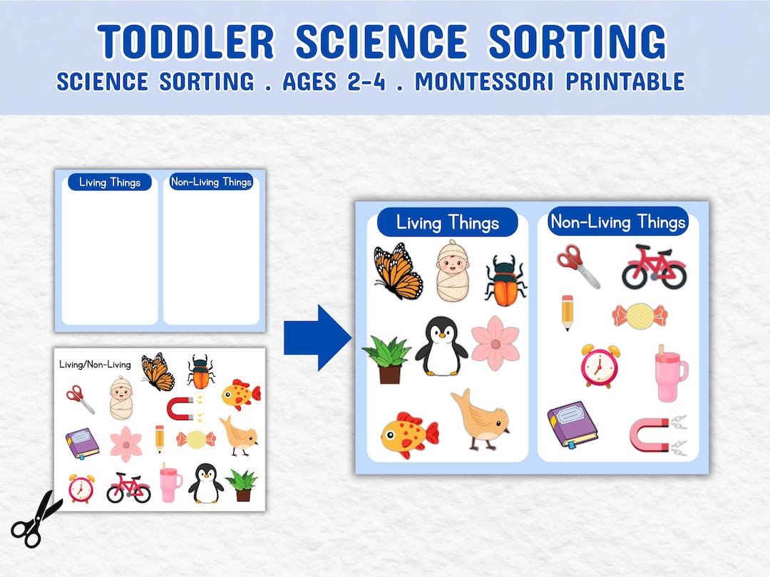 Science Sorting Objects Toddlers Science Sorting Pack Printable, STEM Preschool Science Kit ...