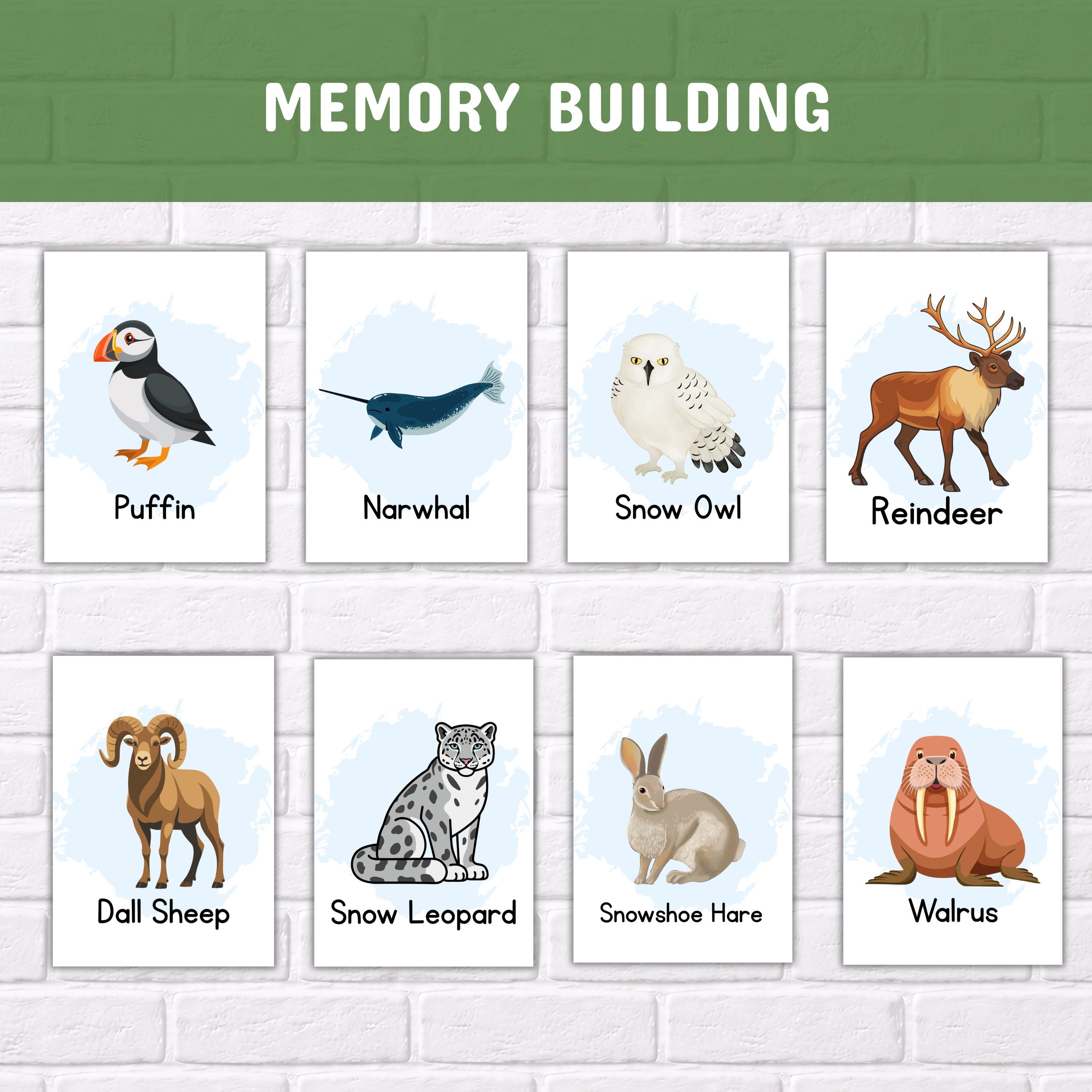Polar Animals Flashcards for Kids, Printable Arctic Montessori Cards ...