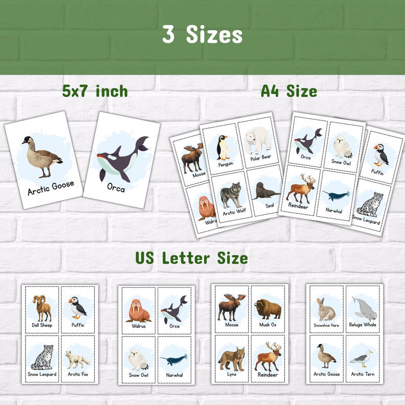 Polar Animals Flashcards for Kids, Printable Arctic Montessori Cards ...