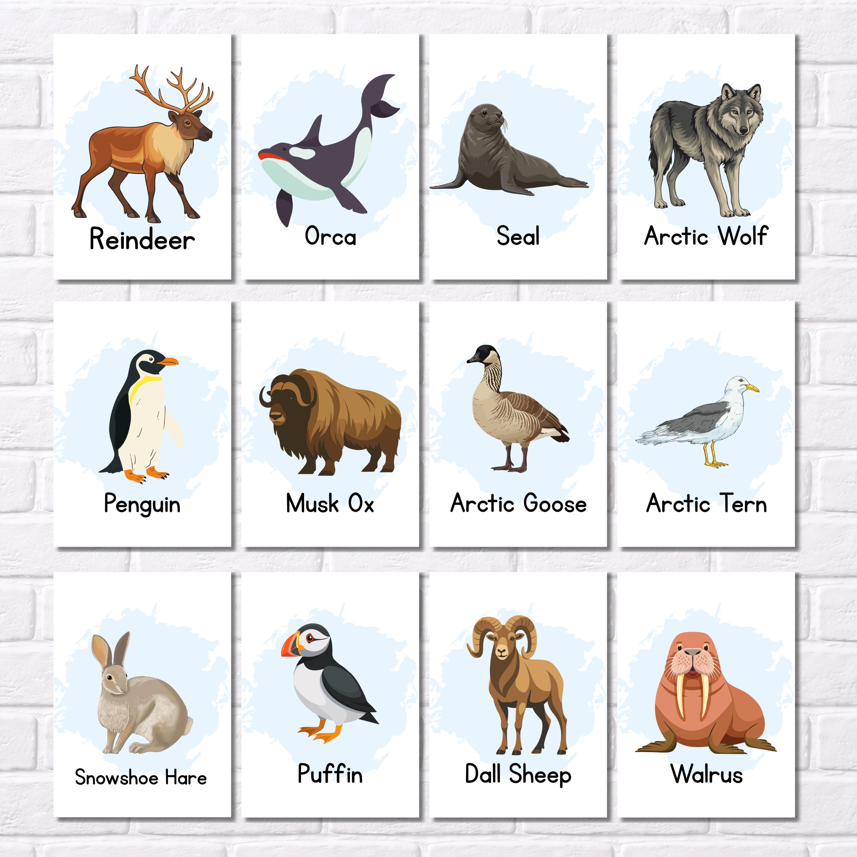 Polar Animals Flashcards for Kids, Printable Arctic Montessori Cards ...