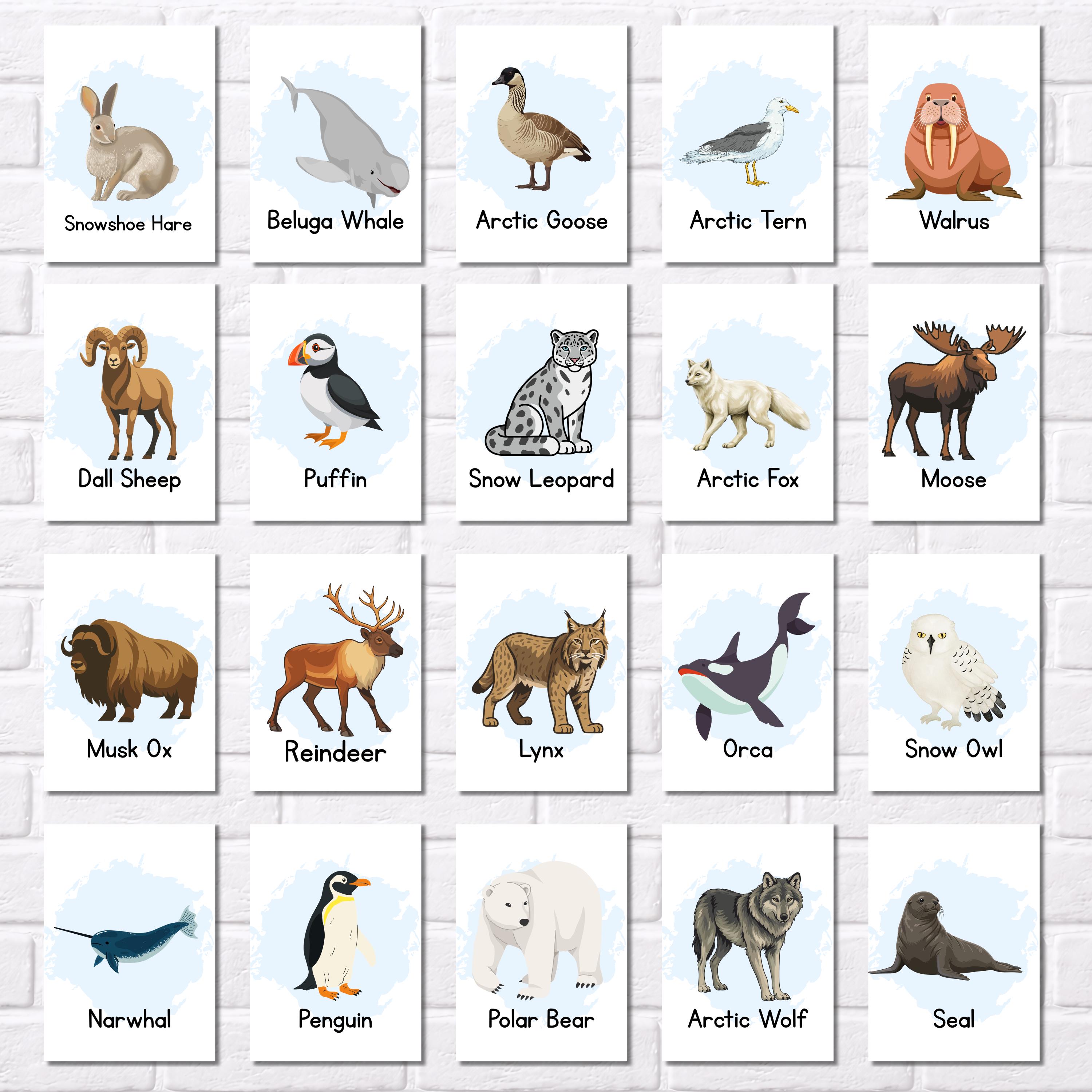 Polar Animals Flashcards for Kids, Printable Arctic Montessori Cards ...