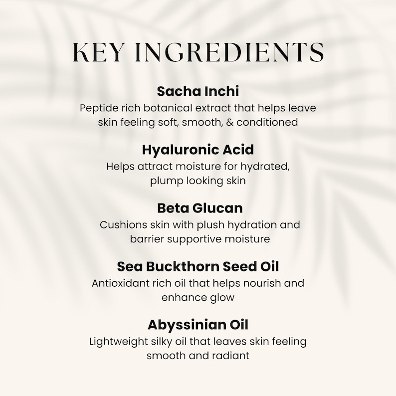 K&ouml;nnte beinhalten: Eine cremefarbene Grafik listet die wichtigsten Inhaltsstoffe f&uuml;r die Hautpflege auf. Der Text enth&auml;lt "Sacha Inchi", "Hyalurons&auml;ure", "Beta-Glucan", "Sanddornkern&ouml;l" und "Abessinier&ouml;l" mit Beschreibungen ihrer Vorteile.