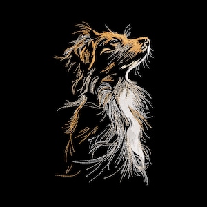 Può includere: Illustrazione ricamata di un cane su sfondo nero. Il cane è raffigurato di profilo, con lo sguardo rivolto verso l'alto. Il pelo del cane è un mix di fili dorati, bianchi e marroni, creando un effetto di texture.