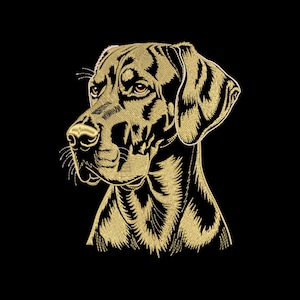 Puede incluir: Retrato bordado de un perro dorado sobre fondo negro. La cabeza del perro está girada hacia un lado, mostrando puntadas detalladas que resaltan el pelaje, los ojos y la nariz. La obra de arte es una ilustración detallada.