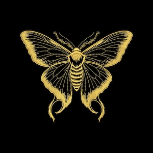 May include: A detailed gold butterfly design on a black background. The butterfly has intricate wing patterns and a detailed body. The image is a close-up, showcasing the delicate lines and textures of the design.