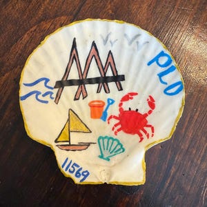 Puede incluir: Concha marina pintada con borde amarillo, con un puente, un velero, un cangrejo y los textos "PLD" y "11569". El diseño incluye olas, pájaros, un cubo y una pala, todo en colores brillantes.