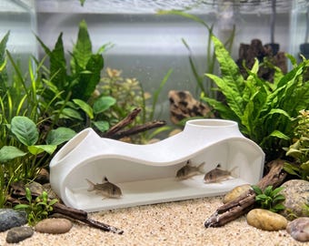 Corydoras-grot, aquariumschuilplaats met dubbele ingang, PETG-aquariumdecoratie