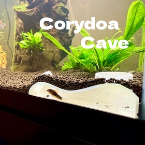 Peau de la grotte du poisson-chat Corydora | Abri pour habitations à double entrée par le bas | Grotte à poissons PETG sans danger pour aquarium | Cachette de poissons d'eau douce