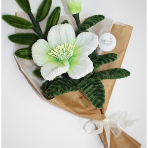 Könnte beinhalten: Ein handgefertigter Blumenstrauß mit einer großen weiß-grünen Blüte, detailliertem Zentrum, grünen Blättern und einer Knospe. Eingewickelt in braunes Papier und mit einem weißen Band gebunden, was ein zartes, künstlerisches Blumenarrangement ergibt.
