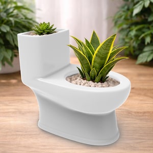 Funny Toilet Planter STL File, Funny Bathroom Decor (Digital Download)
