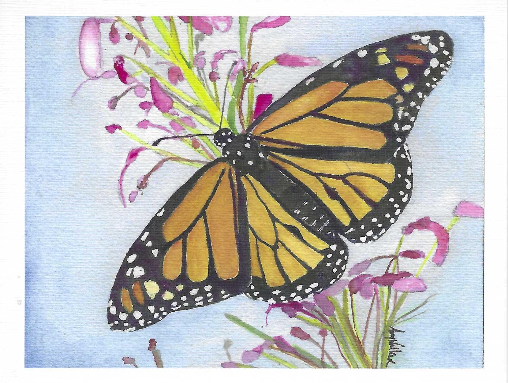 Monarch Butterfly Blank Note Card - Etsy