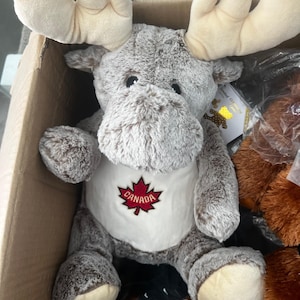 May include: A soft toy moose with large beige antlers and a grey body. The moose features a white belly with a red maple leaf and the word "CANADA" embroidered. The toy is in a cardboard box.