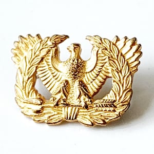Odznaka na czapkę oficerską w stylu vintage, metalowa odznaka wojskowa w kolorze złotym, złota przypinka do klapy z orłem, militaria, amerykańskie przedmioty kolekcjonerskie, czapka oficerska z orłem
