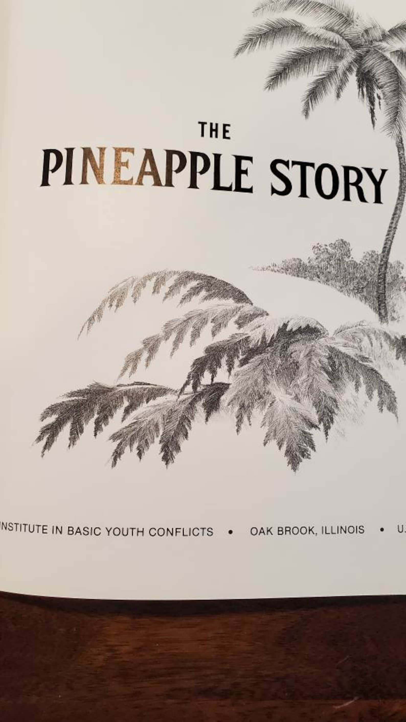The Pineapple Story Book Vintage Book Spiritual Guidance - Etsy