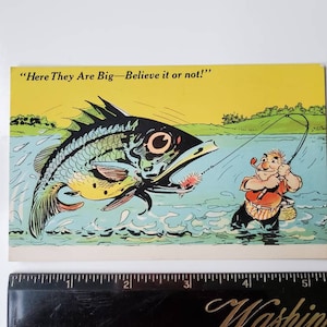 Fisch Postkarte Angeln Humor, Believe it or Not, Fish Tale Lustige Postkarte, Mitte des Jahrhunderts, Vintage 1940er Jahre Leinen Postkarte: Angeln Comic- Lustig
