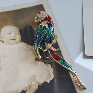 Vintage Parrot Brooch, Macaw Parrot Brooch/Pin with Red, Green and Blue Enamel, Rhinestone Accents, Red Eye