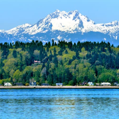 Fregio Da Cappello USN Marina Militare Americana Originale - Foto 8