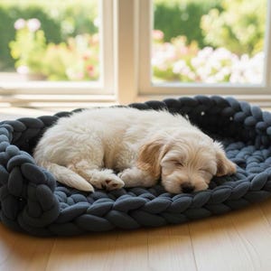 Peut inclure: Un chiot endormi repose dans un lit pour animaux tressé gris foncé. Le chien est de couleur beige clair avec des oreilles tombantes. Le lit est de forme ovale et repose sur un plancher en bois clair près d'une fenêtre.