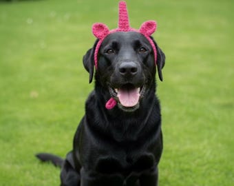 Patrón de diadema de unicornio a crochet / Disfraz para mascota (Descarga digital en PDF)