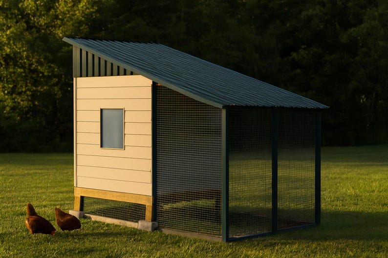 6x8 Chicken Coop Plans for 7-10 Hens, Walk In Hen House Blueprint PDF, DIY Shed Style Build with Cut List and Covered Run Design imagen 1