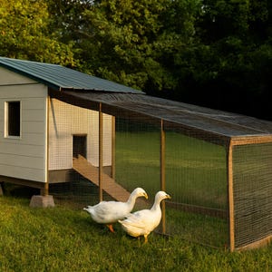 6x8 Duck House Plans for 8-10 Ducks, Large Backyard Coop Blueprint PDF, DIY Build with Ramp, Ground Level Nest Area and Cut List imagen 1