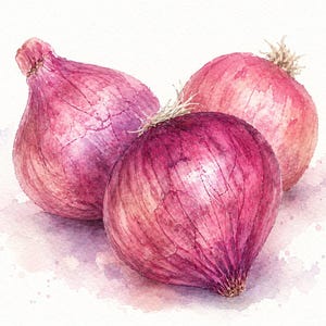 May include: Watercolor painting of three red onions. The onions are a deep reddish-purple color with textured skin and a slight sheen. The artwork has a soft, painterly style with subtle watercolor washes and highlights.