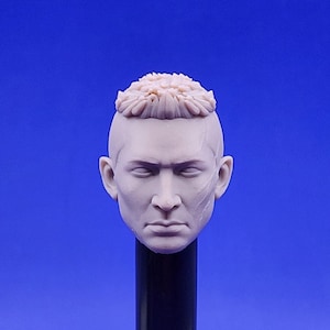 May include: A detailed, unpainted resin head sculpt with a shaved hairstyle and a textured top. The face has visible scars and is mounted on a black stand against a blue background. This item is likely for a collectible figure.