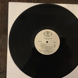 May include: A black vinyl record with a white label featuring text and a logo. The record is in a white paper sleeve. The label reads "Zombie Birdhouse" and "Hedy Pop".