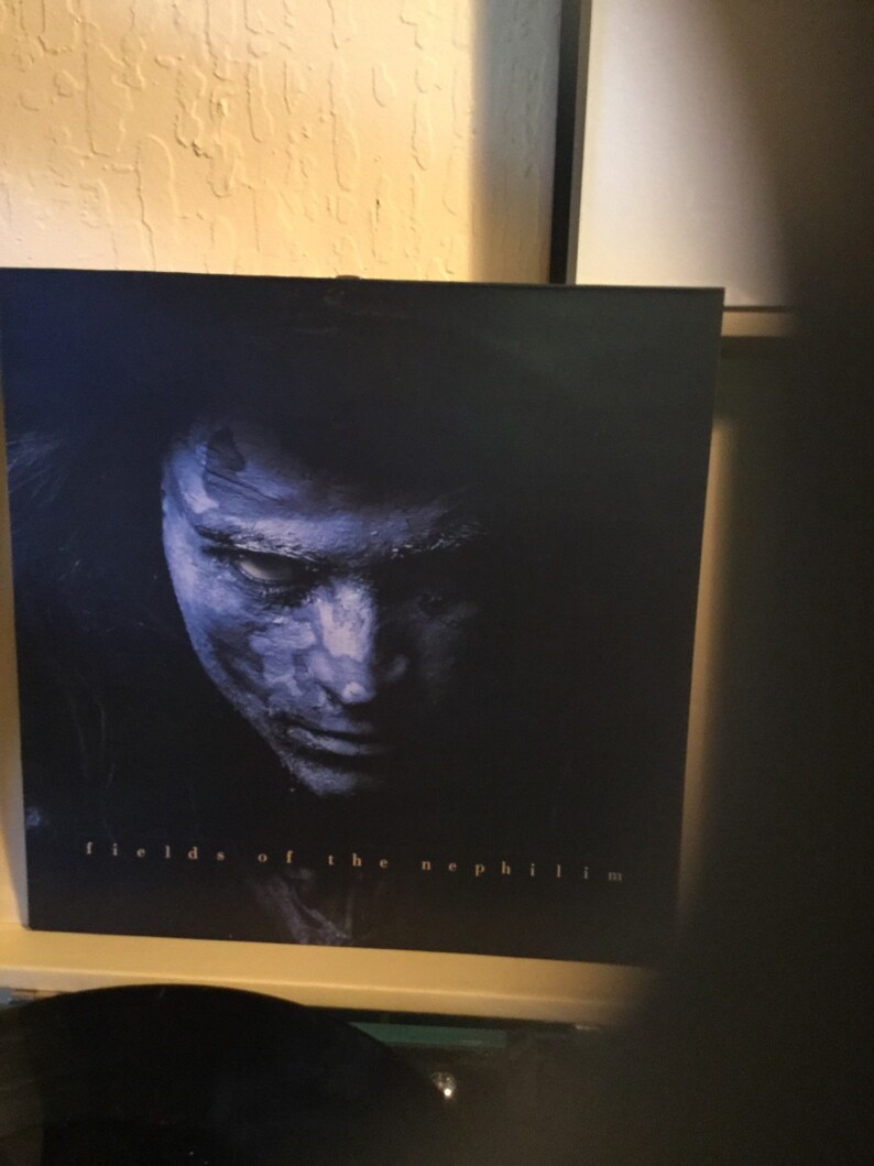 Fields of the Nephilim Moonchild 45 RPM Single Rare on | Etsy