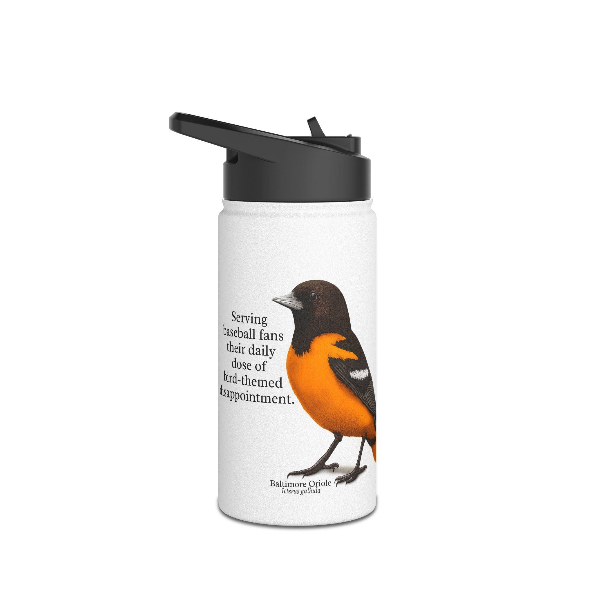 Funny Baltimore Oriole Illustration Stainless Steel Water Bottle
