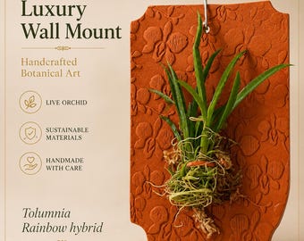 Mini Mounted Orchid on Natural Terracotta Plaque - Living Sculpture Decor