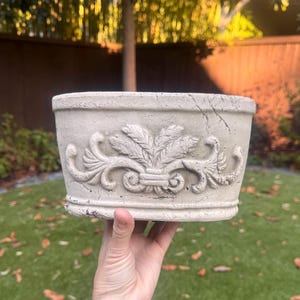 May include: An oval-shaped planter with a weathered, off-white finish and a cracked texture. The exterior features a raised, symmetrical relief design of stylized leaves and scrolling flourishes centered on the front of the vessel.