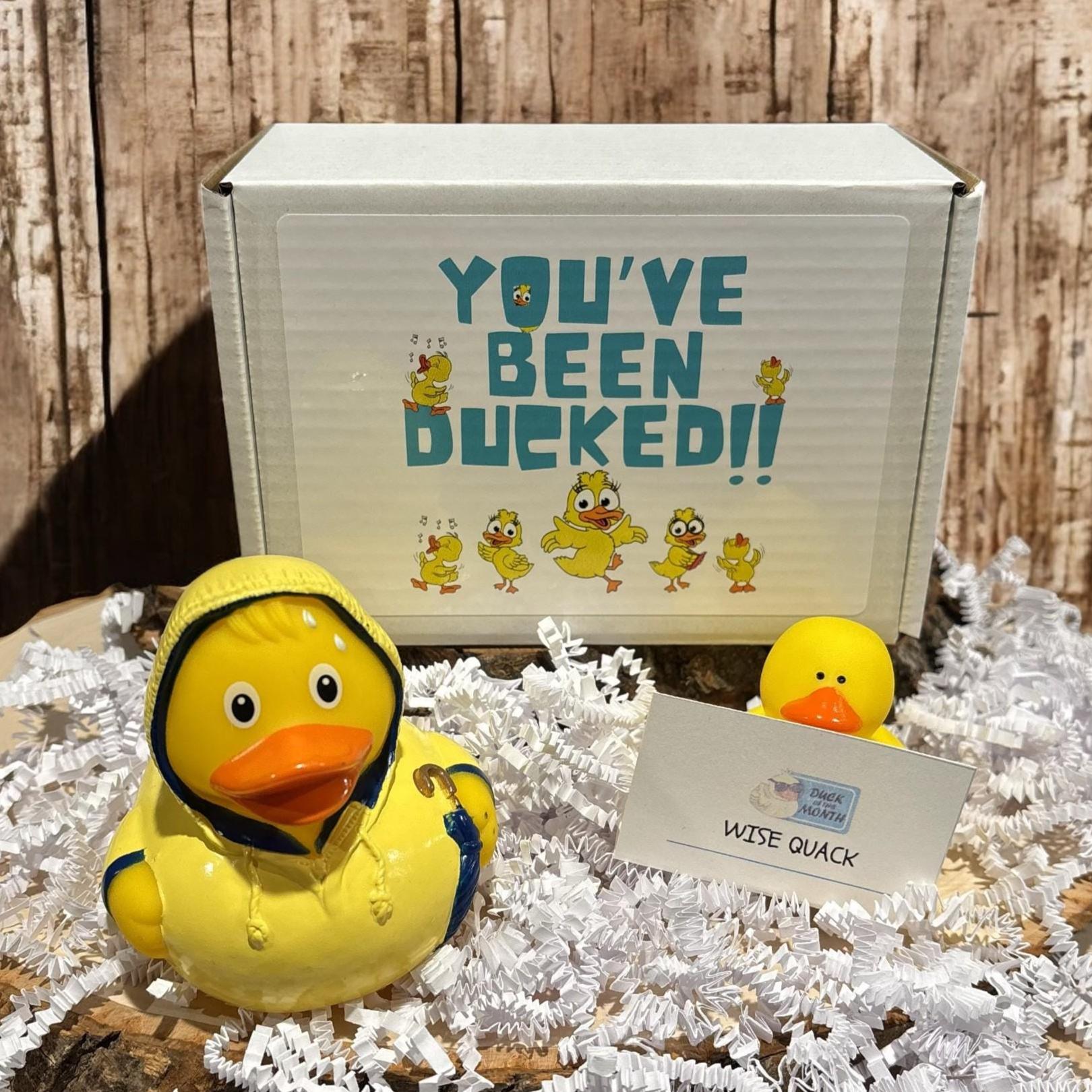 Rainy Day Rubber Duck Gift Box – Cute Duck, Cozy Gift, Umbrella Duck ...