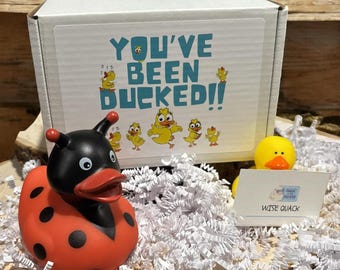 Ladybug Rubber Duck Gift Box – Cute Bug Duck, Garden Lover Gift, Spring Gift, Curated Gift Box, Gardener Gift