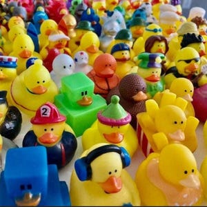 25 Bulk Rubber Ducks with Drawstring Bag- Cruise Ducks Ducking NO DUPLICATES