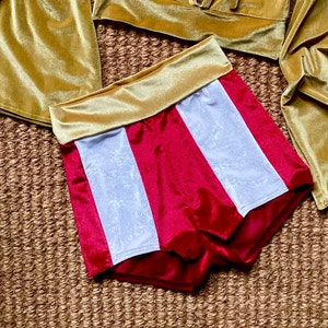 Stripe shorts velvet hot pants circus trapeze aerial