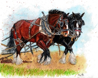 Shire Horses Watercolour Print