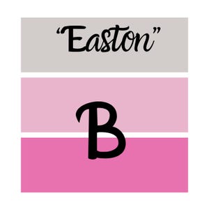 Puede incluir: Un dise&ntilde;o gr&aacute;fico con el nombre "Easton" en escritura negra sobre una gran letra "B" negra. El dise&ntilde;o est&aacute; sobre un fondo de rayas horizontales en gris, rosa claro y rosa intenso.