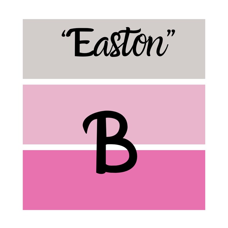 Puede incluir: Un dise&ntilde;o gr&aacute;fico con el nombre "Easton" en escritura negra sobre una gran letra "B" negra. El dise&ntilde;o est&aacute; sobre un fondo de rayas horizontales en gris, rosa claro y rosa intenso.